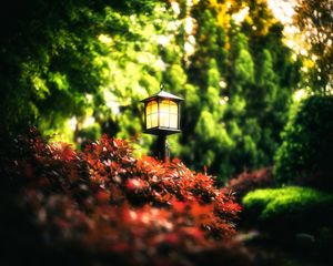Preview wallpaper lantern, leaves, trees
