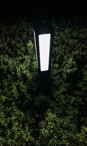 Preview wallpaper lantern, light, bushes, night
