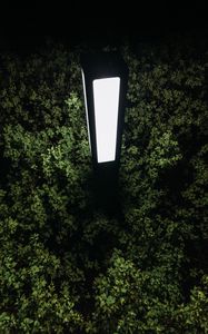 Preview wallpaper lantern, light, bushes, night