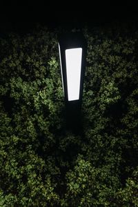 Preview wallpaper lantern, light, bushes, night