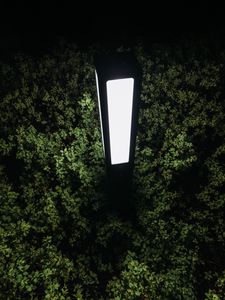 Preview wallpaper lantern, light, bushes, night