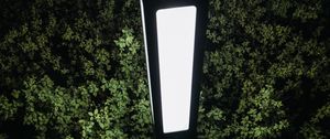 Preview wallpaper lantern, light, bushes, night
