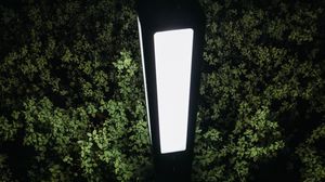Preview wallpaper lantern, light, bushes, night