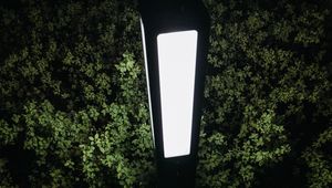 Preview wallpaper lantern, light, bushes, night