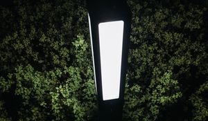Preview wallpaper lantern, light, bushes, night