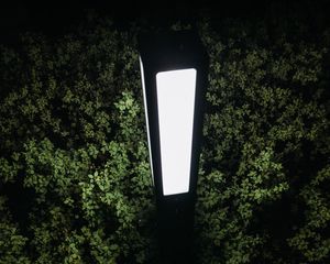 Preview wallpaper lantern, light, bushes, night