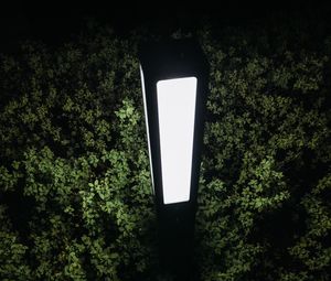 Preview wallpaper lantern, light, bushes, night