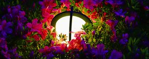 Preview wallpaper lantern, light, flowers