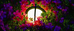 Preview wallpaper lantern, light, flowers