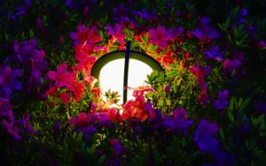 Preview wallpaper lantern, light, flowers