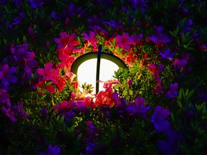 Preview wallpaper lantern, light, flowers