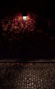 Preview wallpaper lantern, light, leaves, dark