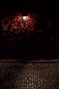 Preview wallpaper lantern, light, leaves, dark
