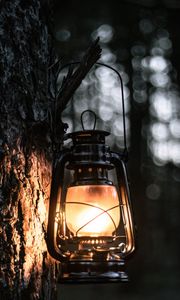 Preview wallpaper lantern, light, tree, bark, evening