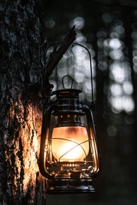Preview wallpaper lantern, light, tree, bark, evening