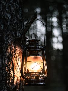 Preview wallpaper lantern, light, tree, bark, evening