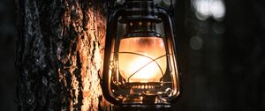 Preview wallpaper lantern, light, tree, bark, evening