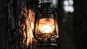 Preview wallpaper lantern, light, tree, bark, evening