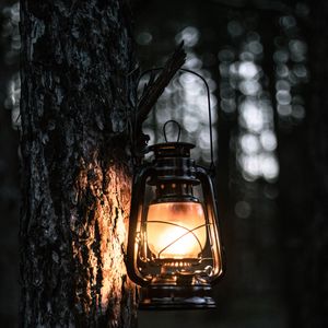 Preview wallpaper lantern, light, tree, bark, evening