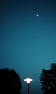 Preview wallpaper lantern, light, trees, night, moon