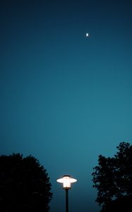 Preview wallpaper lantern, light, trees, night, moon