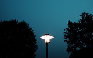 Preview wallpaper lantern, light, trees, night, moon