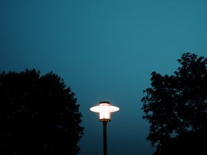 Preview wallpaper lantern, light, trees, night, moon