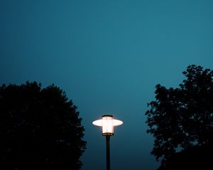 Preview wallpaper lantern, light, trees, night, moon