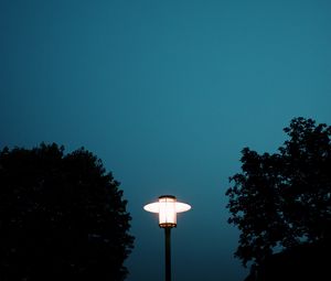 Preview wallpaper lantern, light, trees, night, moon