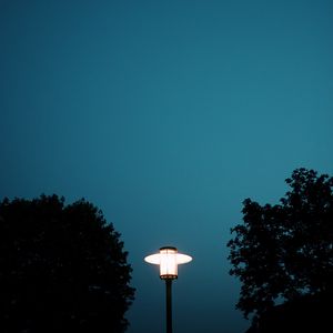 Preview wallpaper lantern, light, trees, night, moon