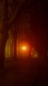 Preview wallpaper lantern, light, trees, road, silhouette, dark