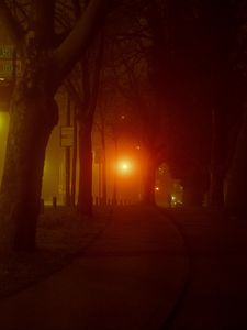 Preview wallpaper lantern, light, trees, road, silhouette, dark
