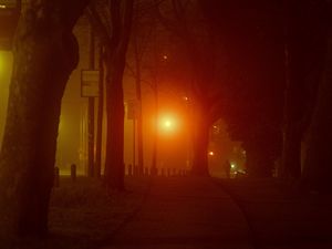 Preview wallpaper lantern, light, trees, road, silhouette, dark