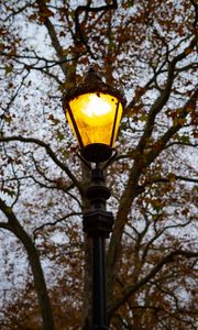 Preview wallpaper lantern, light, trees, autumn