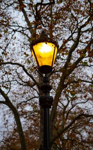 Preview wallpaper lantern, light, trees, autumn