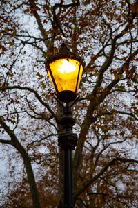 Preview wallpaper lantern, light, trees, autumn