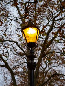 Preview wallpaper lantern, light, trees, autumn