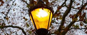 Preview wallpaper lantern, light, trees, autumn