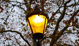 Preview wallpaper lantern, light, trees, autumn