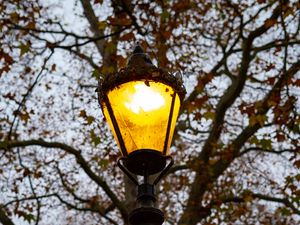 Preview wallpaper lantern, light, trees, autumn