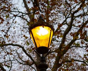 Preview wallpaper lantern, light, trees, autumn