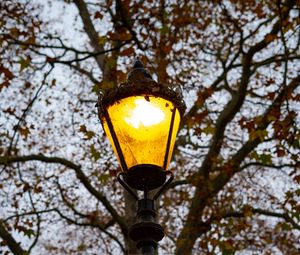 Preview wallpaper lantern, light, trees, autumn