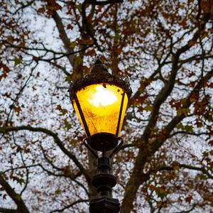 Preview wallpaper lantern, light, trees, autumn