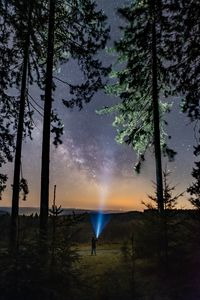 Preview wallpaper lantern, man, starry sky