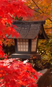 Preview wallpaper lantern, maple, leaves, autumn