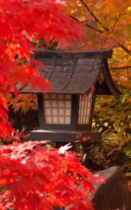 Preview wallpaper lantern, maple, leaves, autumn