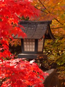 Preview wallpaper lantern, maple, leaves, autumn