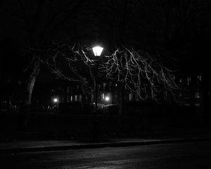 Preview wallpaper lantern, night, tree, bw