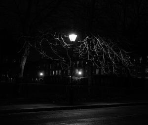 Preview wallpaper lantern, night, tree, bw