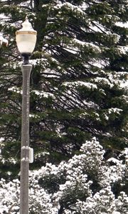 Preview wallpaper lantern, park, trees, winter